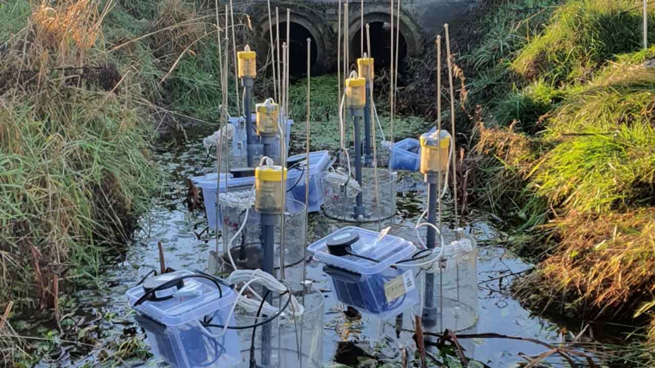 Read more about the article Nye kort skal vise hvor kvælstof tilbageholdes i naturen