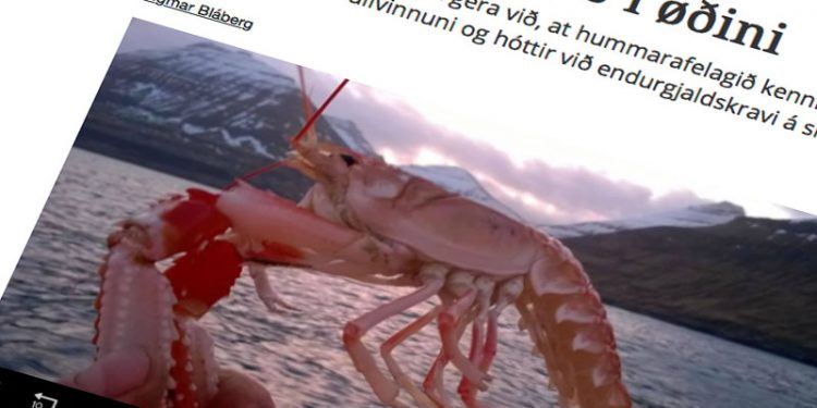Færøske hummerfiskere raser: Fiskeopdræt truer vores levebrød