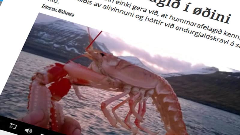 Read more about the article Færøske hummerfiskere raser: Fiskeopdræt truer vores levebrød