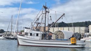 KyleA - Gayle - 2504-4