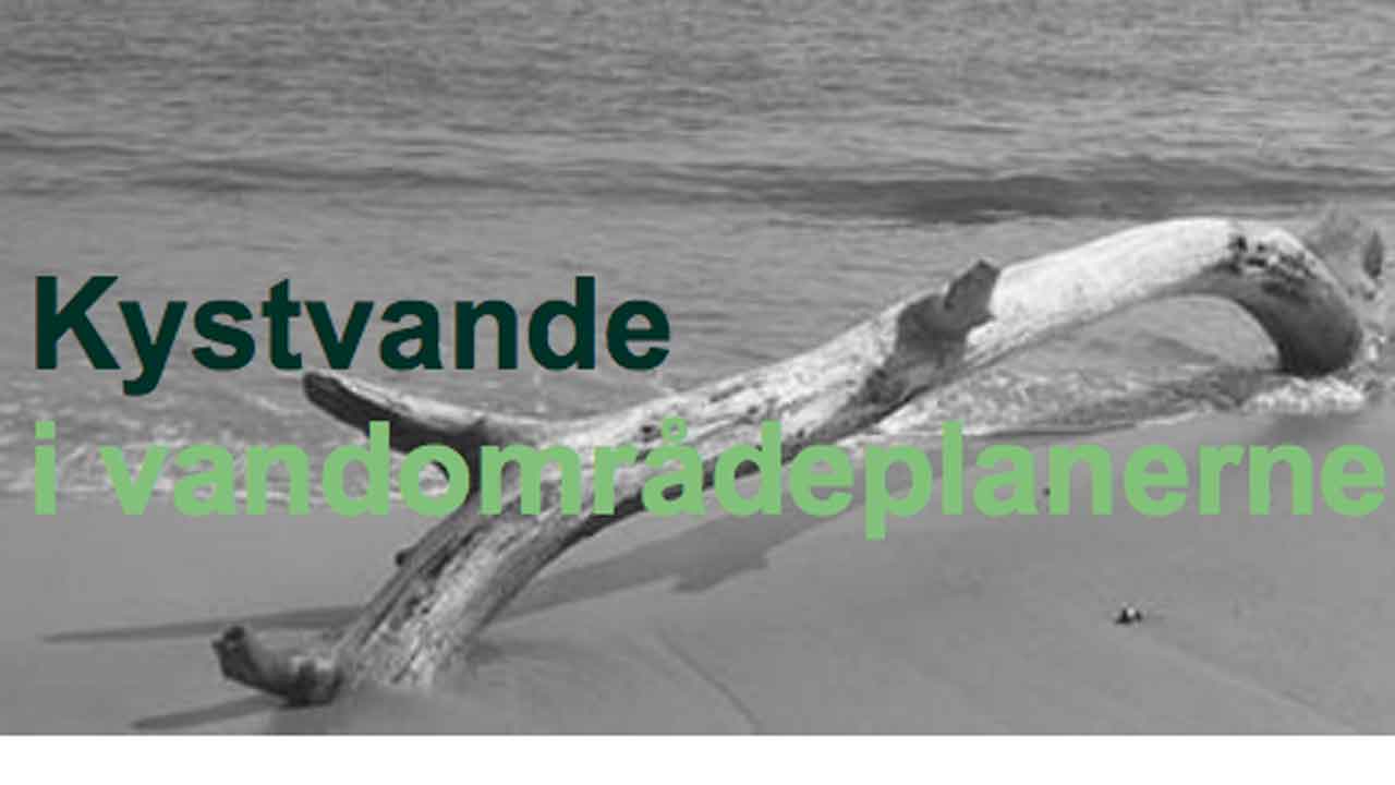 Read more about the article Regeringen sender plan for et bedre vandmiljø i høring