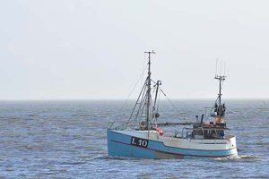 En fisker troede sig udmeldt af Danske Fiskeres Producent Organisation.  Foto:  L 10 Havkatten af Thyborøn - RSC