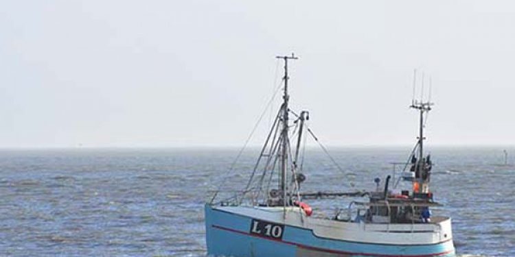 En fisker troede sig udmeldt af Danske Fiskeres Producent Organisation.  Foto:  L 10 Havkatten af Thyborøn - RSC