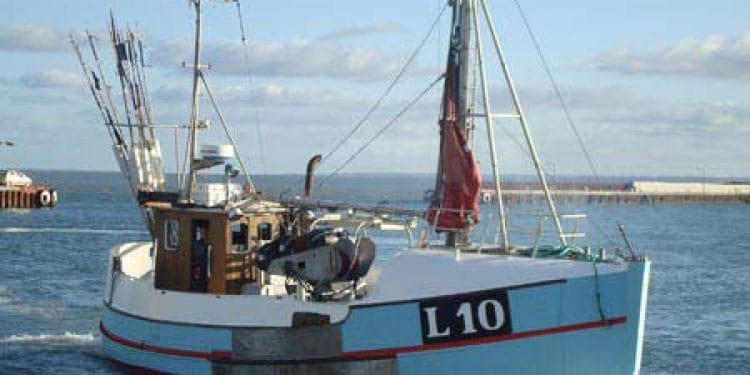 Read more about the article Hjertemuslingefiskeriet i Limfjorden – ti års kamp skal nu have en politisk afgørelse