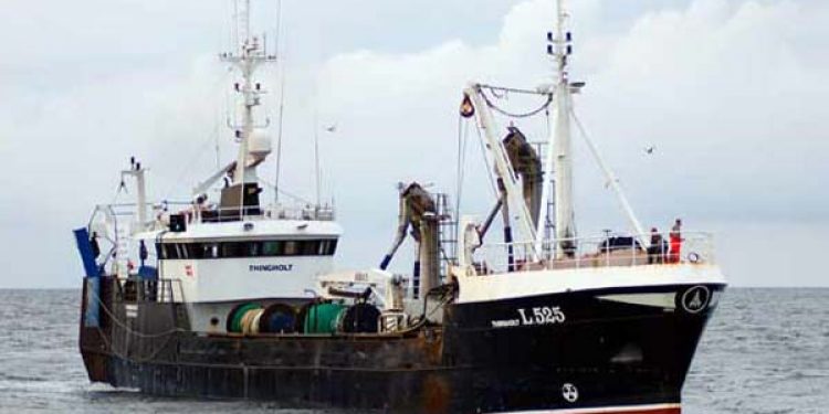 Sperling kvote – værdi 150 millioner kroner for danske fiskere.  Foto: L525 Thingholt - RCS