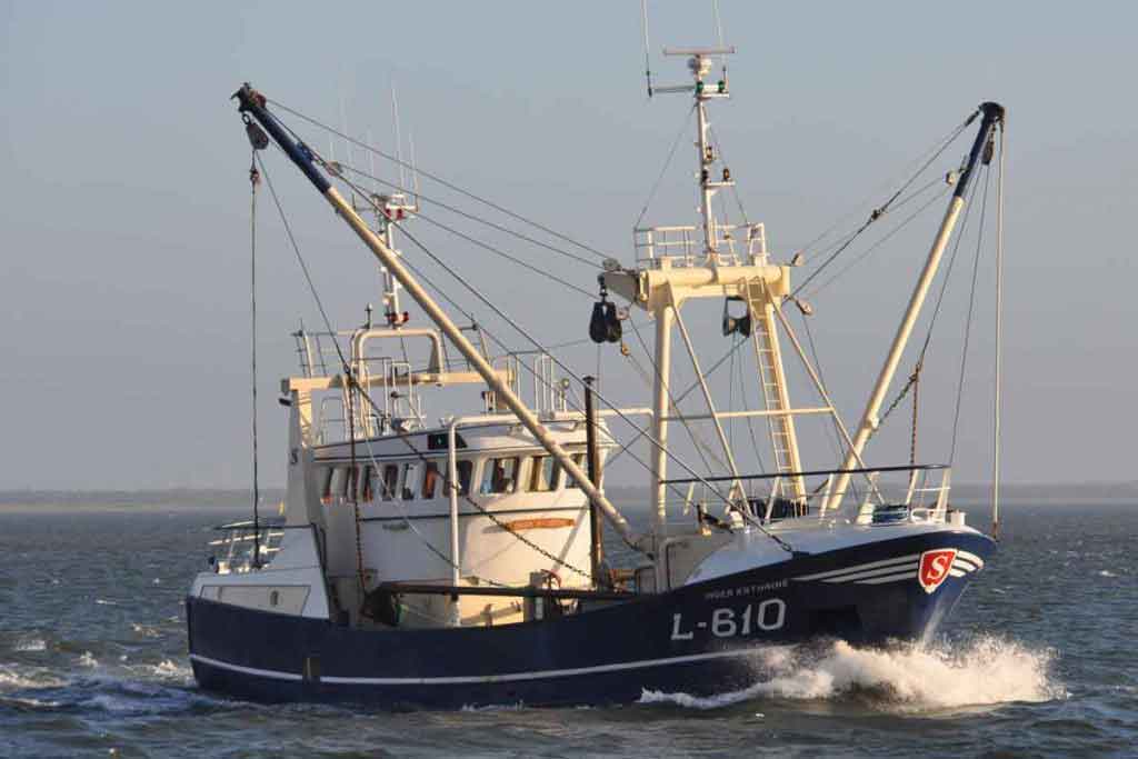 Read more about the article Rekordfangster giver højt humør: Hesterejefiskeriet spræller som aldrig før