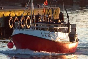 Bulk Carrier påsejler dansk garnfisker 25 mil vest for Thyborøn .   Foto: L72 Quality med skipper Henrik Foldager  Fotograf: HP