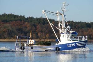 Fiskeriet efter blåmuslinger åbner i dag.  foto: Muslingebåden L 935 Sandra Fotograf: FrTh - FiskerForum