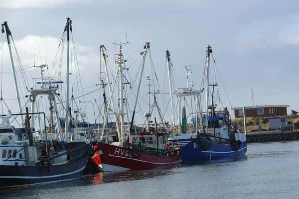 Read more about the article Ny formand for FiskeriLAG Vestjylland