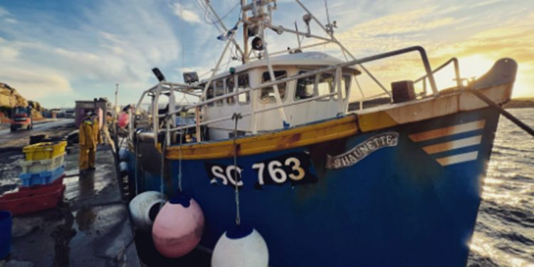 Europæiske kystfiskere ønsker EU´s Fiskeripolitik artikel 17 implementeret øjeblikketligt. foto: LIFE