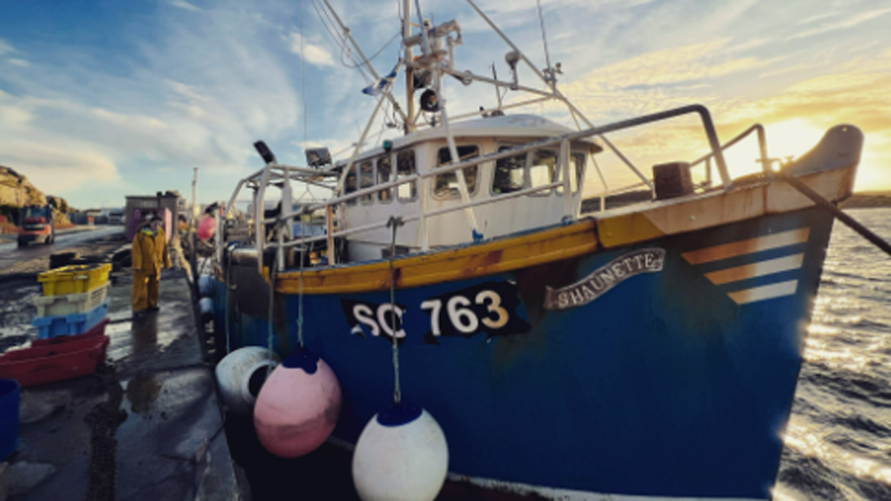 Read more about the article Europæiske kystfiskere ønsker EU´s Fiskeripolitik artikel 17 implementeret øjeblikketligt