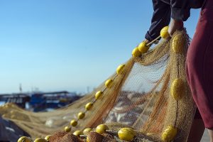 Kontant støtte til mere end 1.000 fiskerier i Storbritannien pga. Corona-krisen