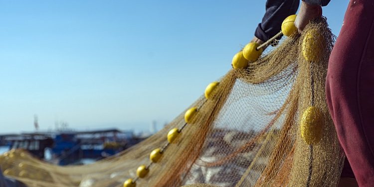 Kontant støtte til mere end 1.000 fiskerier i Storbritannien pga. Corona-krisen