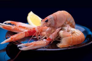 Den danske leverandør af jomfruhummer er udfordret af prisniveauer og politisk pres. foto: snapshot Læse Fiskeindustri