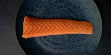 Laks - Skagen Salmon