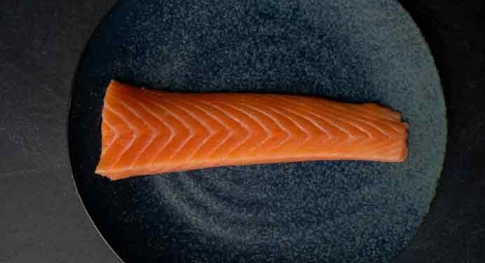 Laks - Skagen Salmon