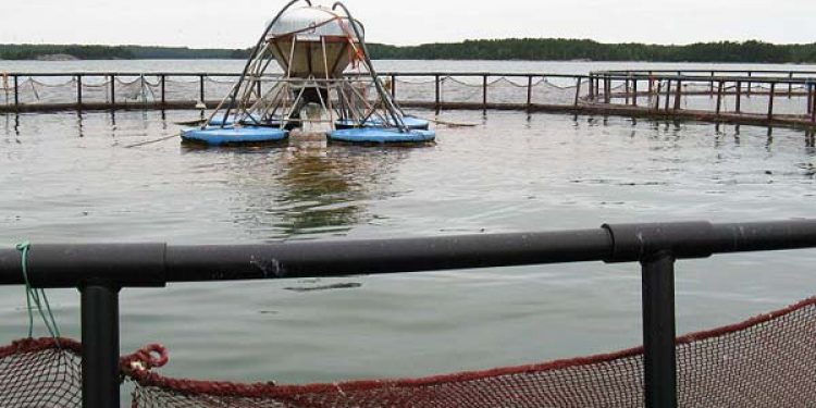 MTB er et dårligt måle værktøj  Foto: havdambrug - Wikipedia