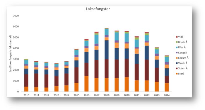 Laksefangster fra 2010 fiskepleje dtu