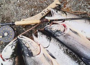 Forbud mod kommercielt laksefiskeri for Grønland og Færøerne fortsætter. Foto: Laksefiskeriet får udstrakt hånd de næste 12 år - FiskerForum.dk