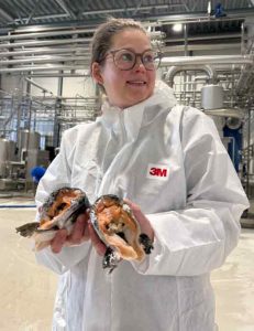 For hvor vi tidligere spiste hele fisken – inklusiv hoved, skind og ben – er det i dag primært fileten, der ryger på tallerkenen. Ifølge forskerne kan det være en fejl. foto: Nofima 