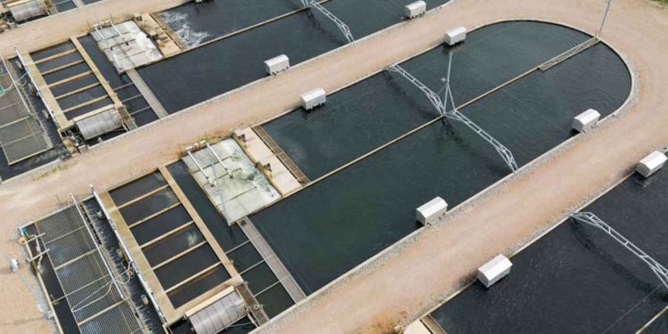 I Sønderjylland er der gang i et ambitiøst pilotprojekt kaldet »[GreenScale](https://www.greenscale.dk/topledermde)«, som skal demonstrere, hvordan landbaseret fiskeopdræt kan integreres med landbrug og energisystemer – og på den måde danne nye grønne værdikæder. DAPO