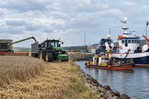 Når både landbrug og fiskeri samtidig rammes af kraftigt stigende brændstofpriser, kan regeringen derfor ikke behandle kvælstofkrav, arealomlægning, fiskeribegrænsninger og afgifter som uafhængige beslutninger. foto: FiskerForum.dk AI