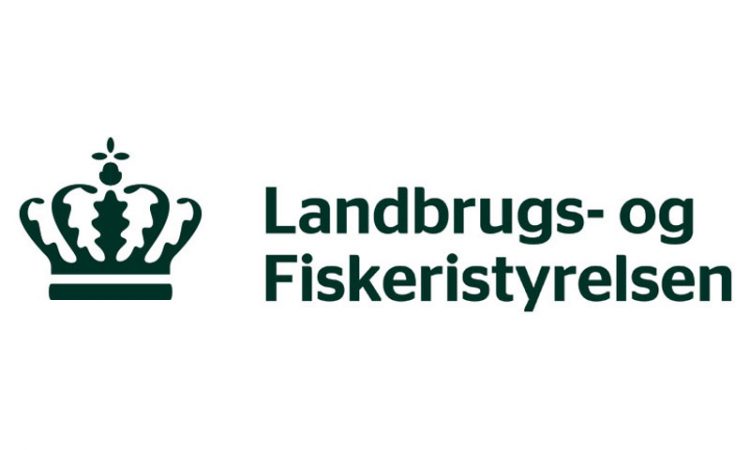 Read more about the article Stop for fiskeri af sild i østlige Østersø