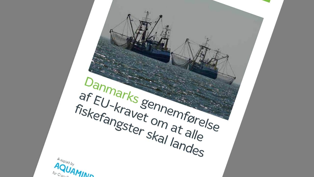 Read more about the article Ifølge ny rapport misligeholder Regeringen fiskeriaftalen omkring discard