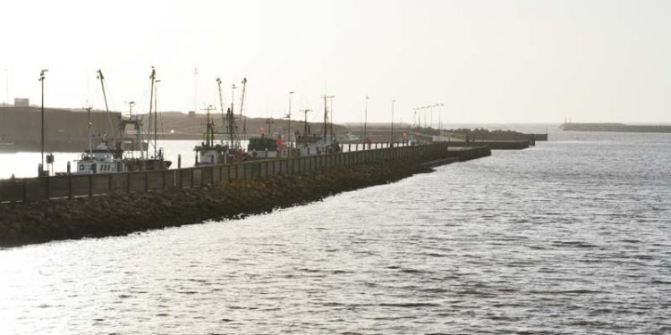 Øget coastertrafik på Hvide Sande Vesthavn og Vodbinderkajen.  Foto: Langelinje og Aarhuskajen i Hvide Sande udvides med brokaj på 120 meter - FiskerForum