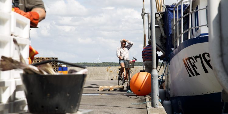 kystfiskerne får den ønskede forhøjelse af bifangstkvoten på torsk i Østersøen - foto: FSK - Langø