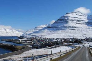 Landinger i Leirvík og Klaksvík viser stabilt fiskeri efter havtaske – en værdifuld nicheart, der fortsat giver aktivitet til den mindre kystnære flåde. foto: wikipedia