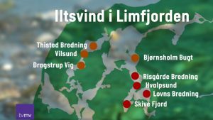 Trods politiske modsætninger er to partier nu enige om at Limfjordens tilstand skal forbedres snapshot: TvMidtVest