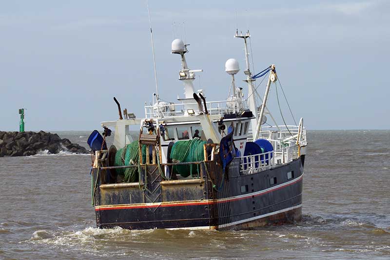 Read more about the article EU-Aftale: Fiskekvoter forlænges i tre måneder