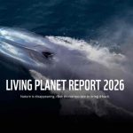 Living planet report 2026 - wwf