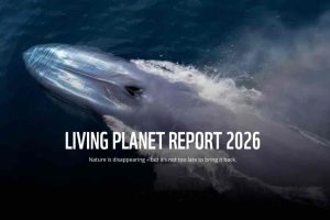 Living planet report 2026 - wwf