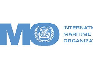 IMO fejrer organisationens runde fødselsdag
