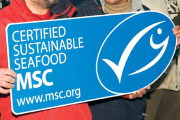 Read more about the article Dansk eksport af blåmuslinger fra Limfjorden fører til 100 procent MSC – certificering.