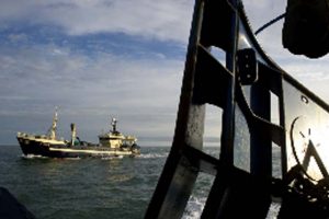 Effektive og skånsomme redskaber skal redde dansk industrifiskeri.  foto: Lonny Hedvig på forsøgsfiskeri - Aquamind