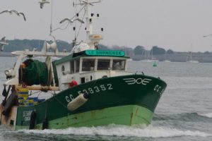 Ny Europæisk organisation EBFA kæmper imod trawlforbud i det demersale fiskeri