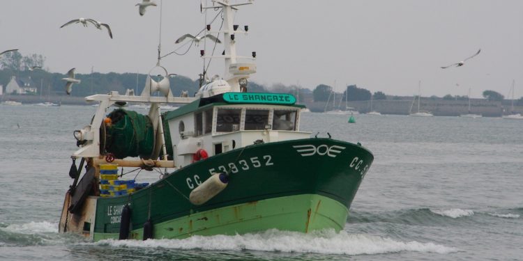 Read more about the article Ny Europæisk organisation EBFA kæmper imod trawlforbud i det demersale fiskeri