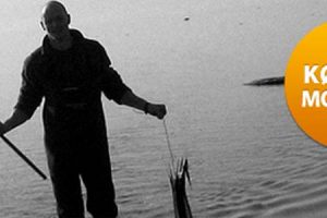 Lyst- og fritidsfiskere bidrager til fiskenes ve og vel. Foto: Fisketegn - NaturErhvervsstyrelsen