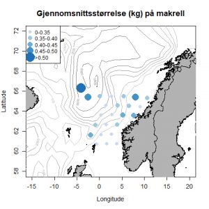 Et kort over den norske kyst med blå prikker, der viser gennemsnitsstørrelsen af ​​makrel.
Figur 2. Gennemsnitsvægt (kg) af makrellen i fangsterne.