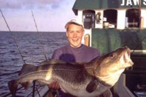 Tre til fem torsk om dagen slår lystfisketurismen i Øresund ihjel