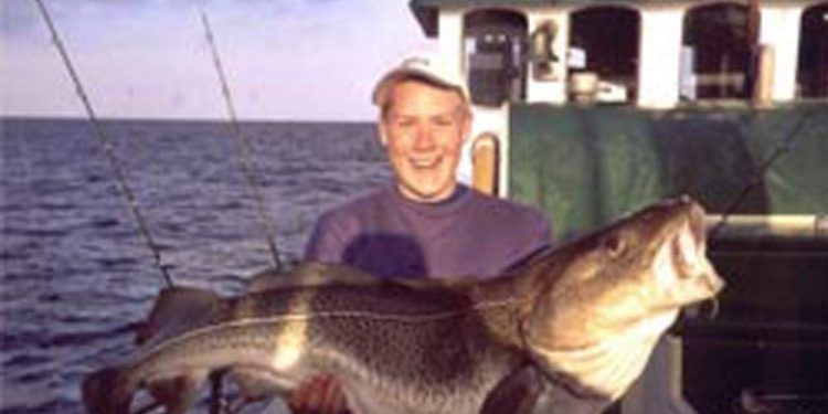 Tre til fem torsk om dagen slår lystfisketurismen i Øresund ihjel
