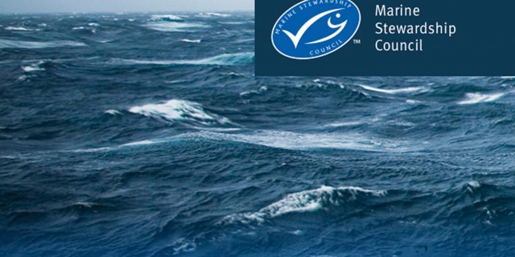 Atlanto-skandinaviske sild og blåhvilling mister deres blå MSC mærke fra nytår