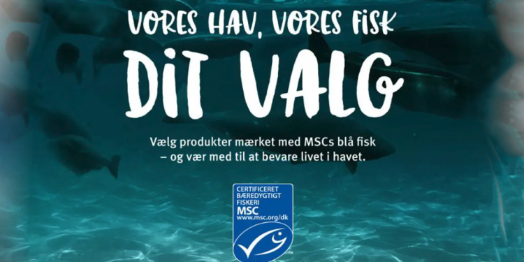 Både Coop og Forbrugerrådet har tillid til miljømærket med »den lille blå MSC fisk«, trods kritik arkivfoto: MSC