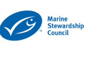 MSC