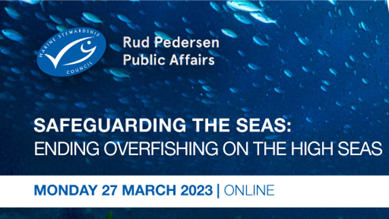 Read more about the article MSC: Hvordan stopper vi overfiskeriet på åbent hav?