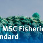 MSC´s bestyrelse har enstemmigt godkendt den nye fiskeristandard. foto: MSC