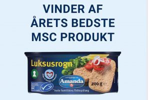 Amanda Torskerogn vinder MSC pris